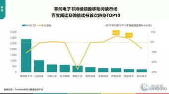 trustdata 2017年上半年中國移動互聯網發展分析報告