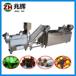 切肉機(jī)直銷(xiāo) 專(zhuān)業(yè)的果蔬清洗機(jī)推薦